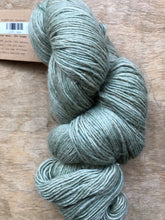 Load image into Gallery viewer, Milo