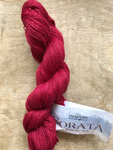 Load image into Gallery viewer, Sorata