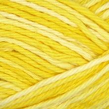 Load image into Gallery viewer, Sudz