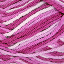 Load image into Gallery viewer, Sudz