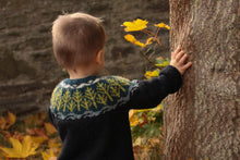 Load image into Gallery viewer, Pacific Knits: 18 irresistible earthy knits