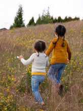 Load image into Gallery viewer, Pacific Knits: 18 irresistible earthy knits