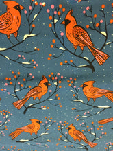 Load image into Gallery viewer, C+S Frost - Winter Cardinals - Blue Fabric
