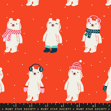 Load image into Gallery viewer, Flurry Snow Bears
