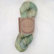 Load image into Gallery viewer, 1ply Superwash Fingering