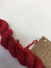 Load image into Gallery viewer, Lichen and Lace 80/20 sock mini