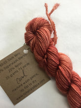 Load image into Gallery viewer, Lichen and Lace 80/20 sock mini