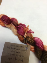 Load image into Gallery viewer, Lichen and Lace 80/20 sock mini