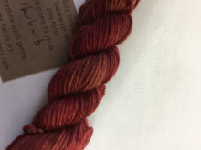 Load image into Gallery viewer, Lichen and Lace 80/20 sock mini