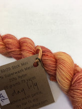 Load image into Gallery viewer, Lichen and Lace 80/20 sock mini