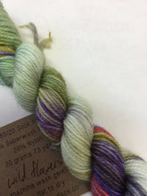 Load image into Gallery viewer, Lichen and Lace 80/20 sock mini