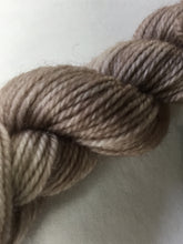 Load image into Gallery viewer, Lichen and Lace 80/20 sock mini