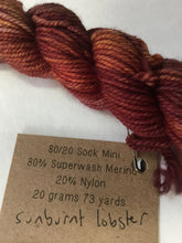 Load image into Gallery viewer, Lichen and Lace 80/20 sock mini