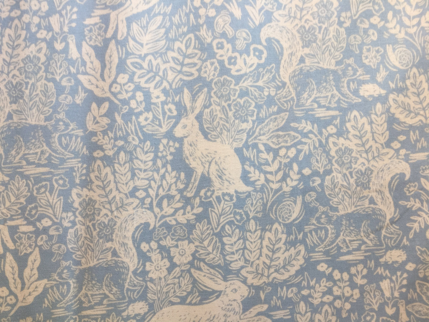 C+S Rifle Paper Co. Wildwood Fable Blue