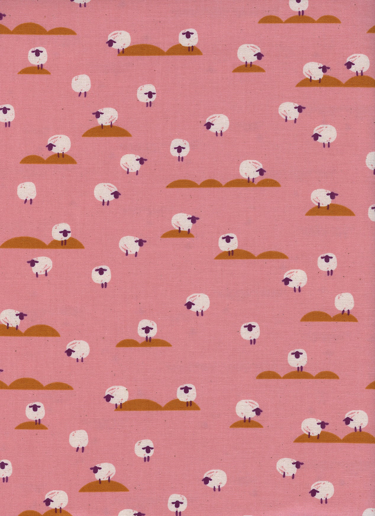 C+S Panorama - Sheep - Coral Unbleached Cotton Fabric