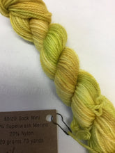 Load image into Gallery viewer, Lichen and Lace 80/20 sock mini

