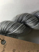 Load image into Gallery viewer, Lichen and Lace 80/20 sock mini
